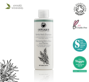 dry scalp shampoo dry scalp shampoo