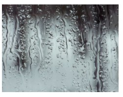 Water on shower hair-washing Water on shower hair-washing