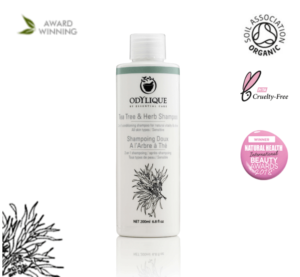 itchy scalp shampoo itchy scalp shampoo